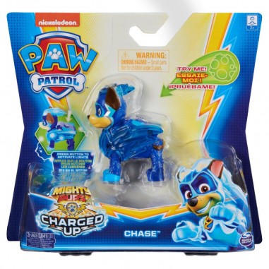 Paw patrol chase